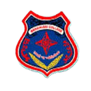 DSpace logo
